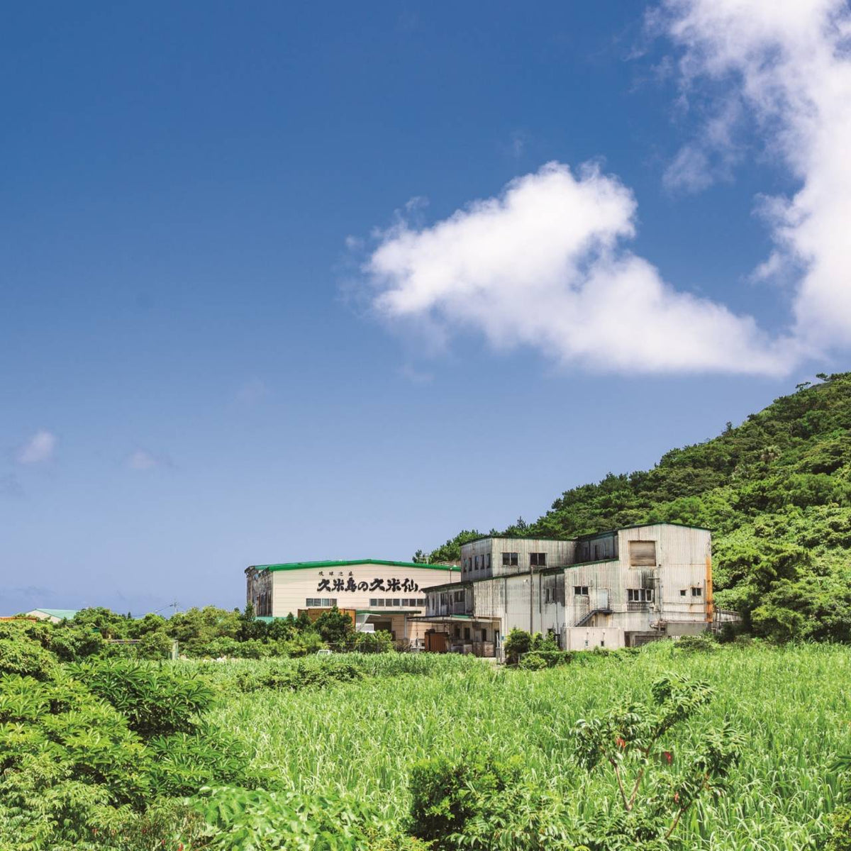 kumejima's kumesen 40（フォーティー） 40度 720ml – 久米島の久米仙