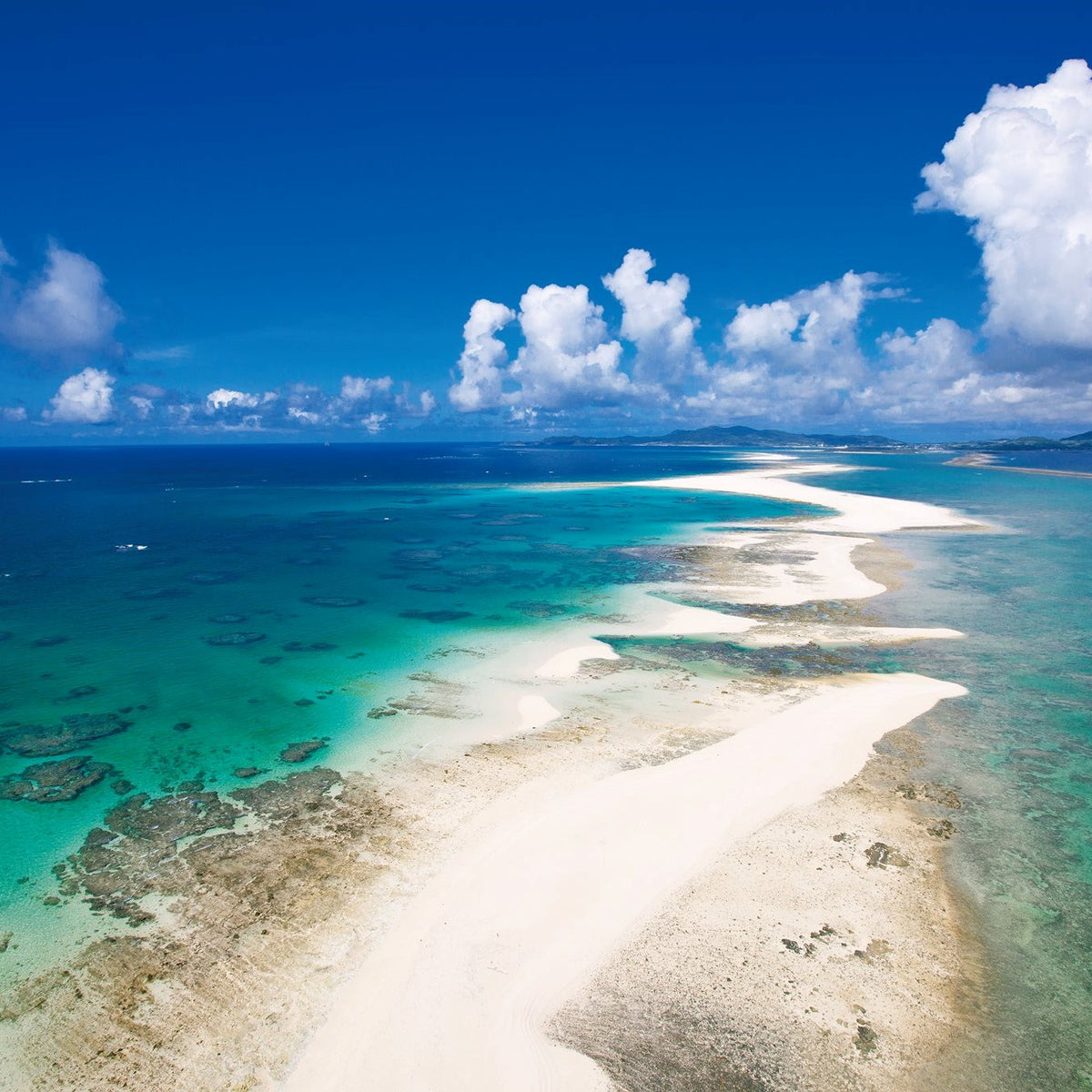 パウチタイプ 13度 900ml – 久米島の久米仙 オンラインショップ